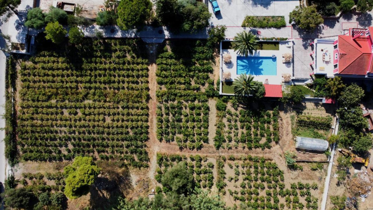 Zissis Villa & Pool 5Min Drive To Beach Kato Yerakarion Экстерьер фото